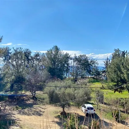 Pine 2 Bedrooms 50 Meters To The